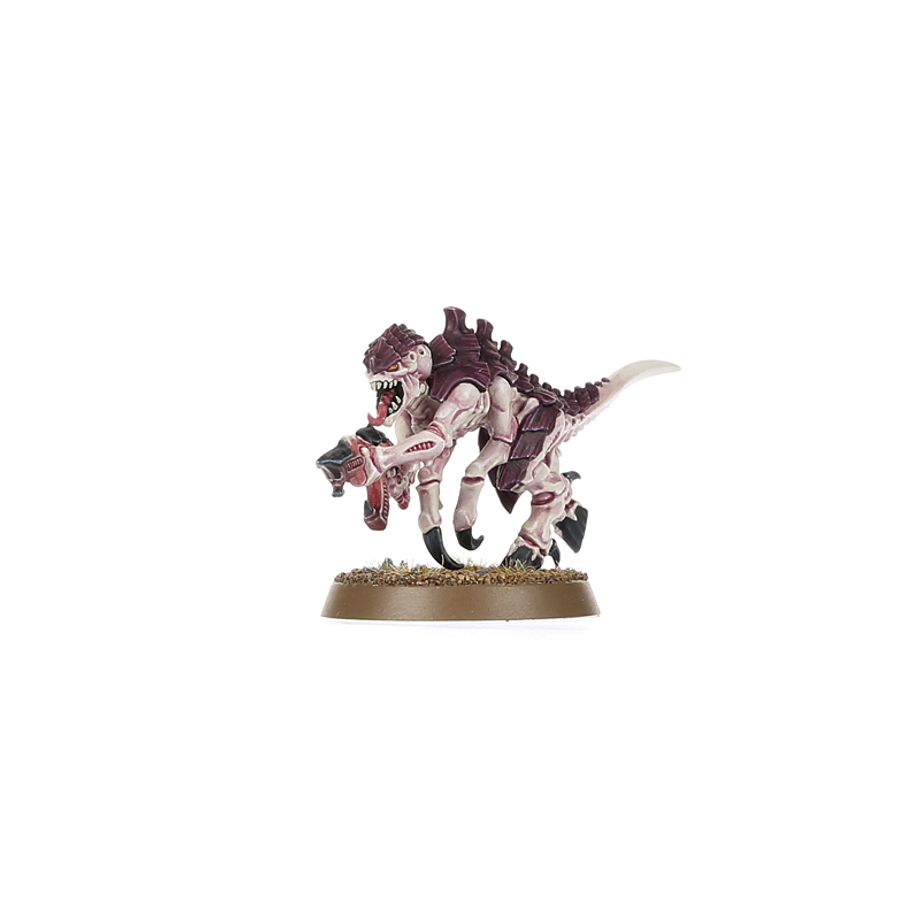 WARHAMMER 40000: INTRODUCTORY SET