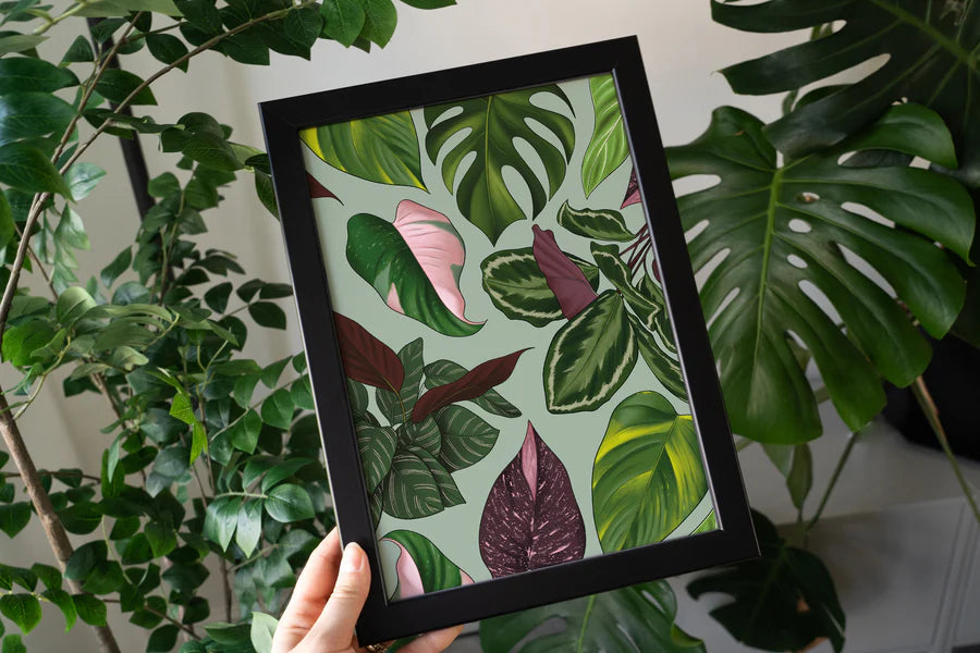 Houseplant Leaves A4 Print