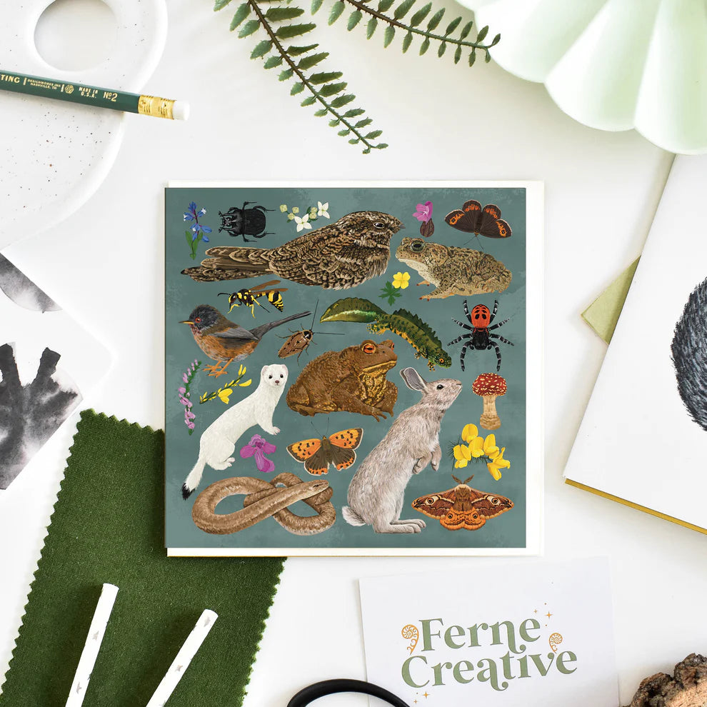 Heathland Wildlife Card