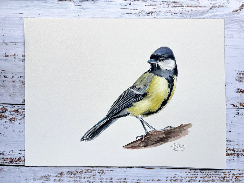 Great Tit Print