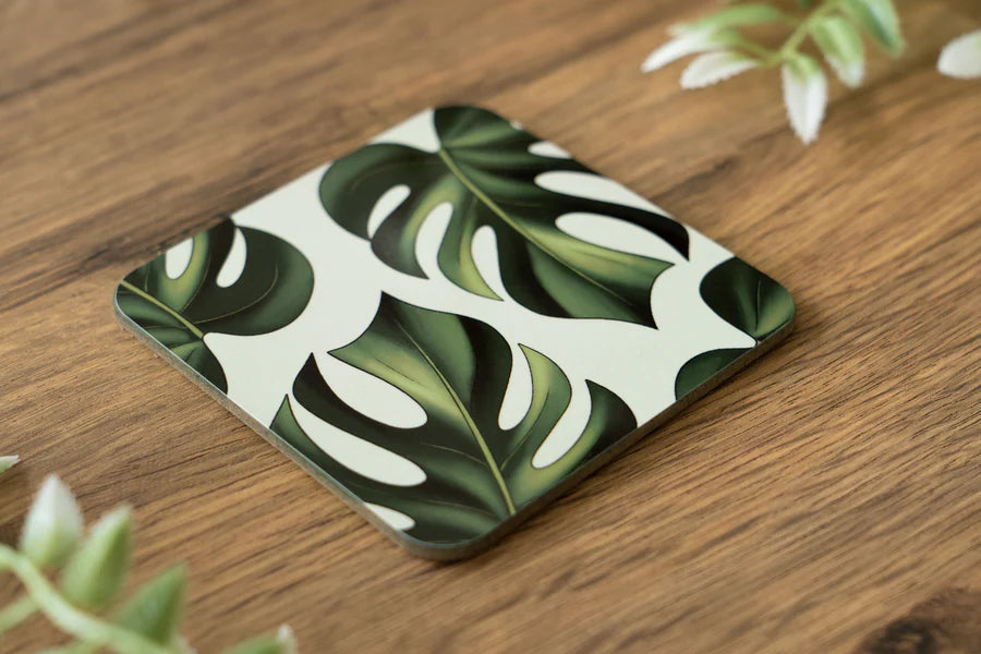Monstera 'Swiss Cheese Plant' Coaster