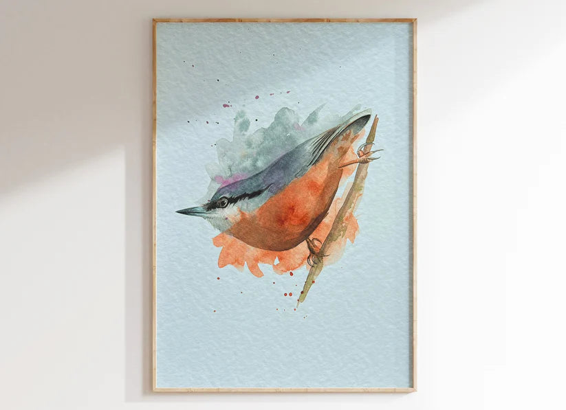 Nuthatch A4 Print