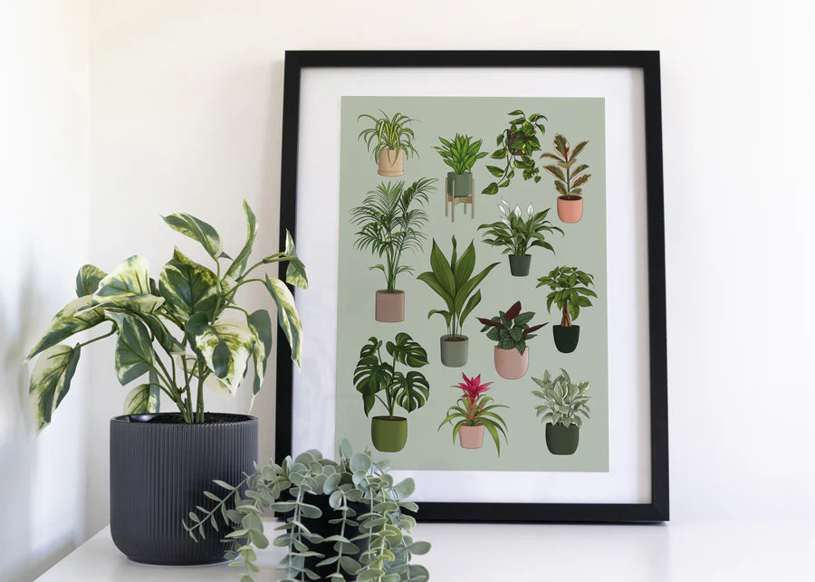 Houseplants A4 Print