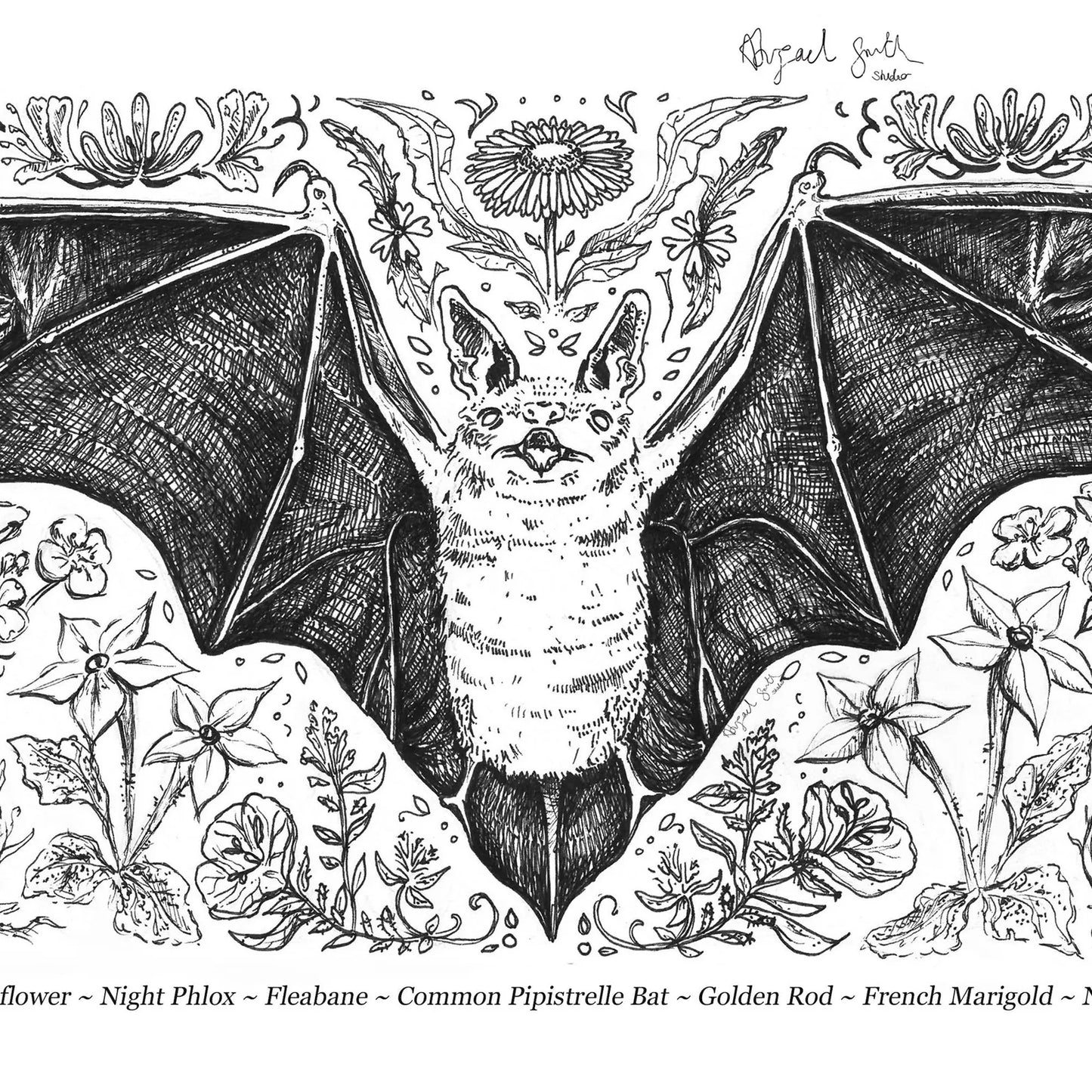 Bat Pollinators Print