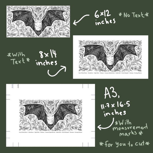 Bat Pollinators Print