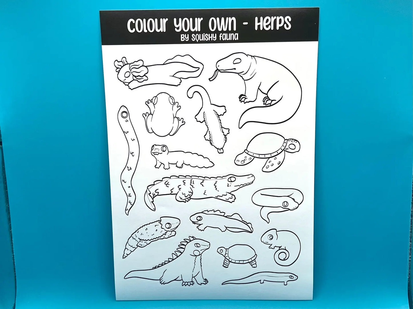 Colour Your Own Herps Sticker Sheet
