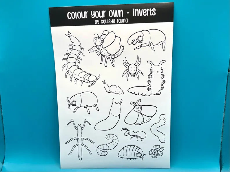 Colour Your Own Bugs Sticker Sheet