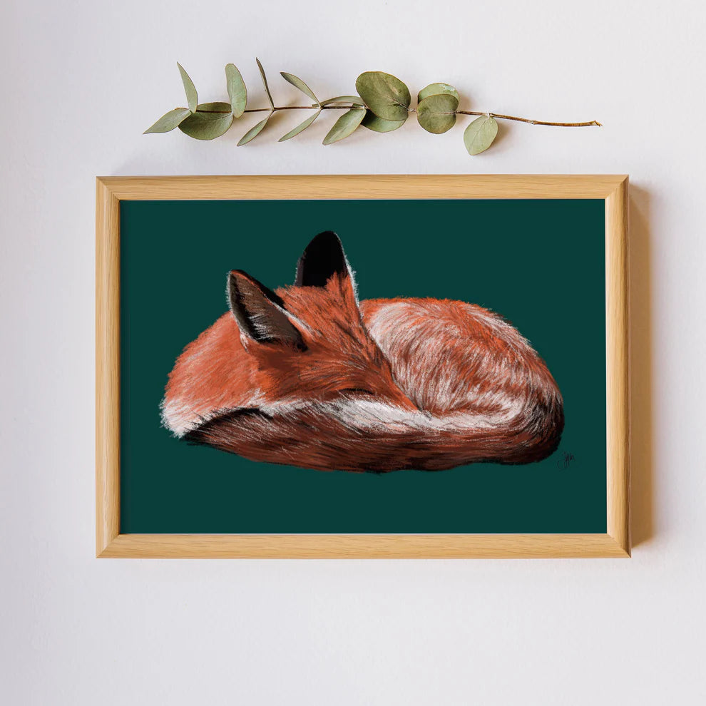 Sleeping Red Fox Print