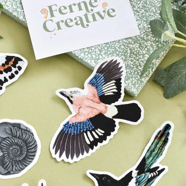 Eurasian Jay Bird Vinyl Sticker