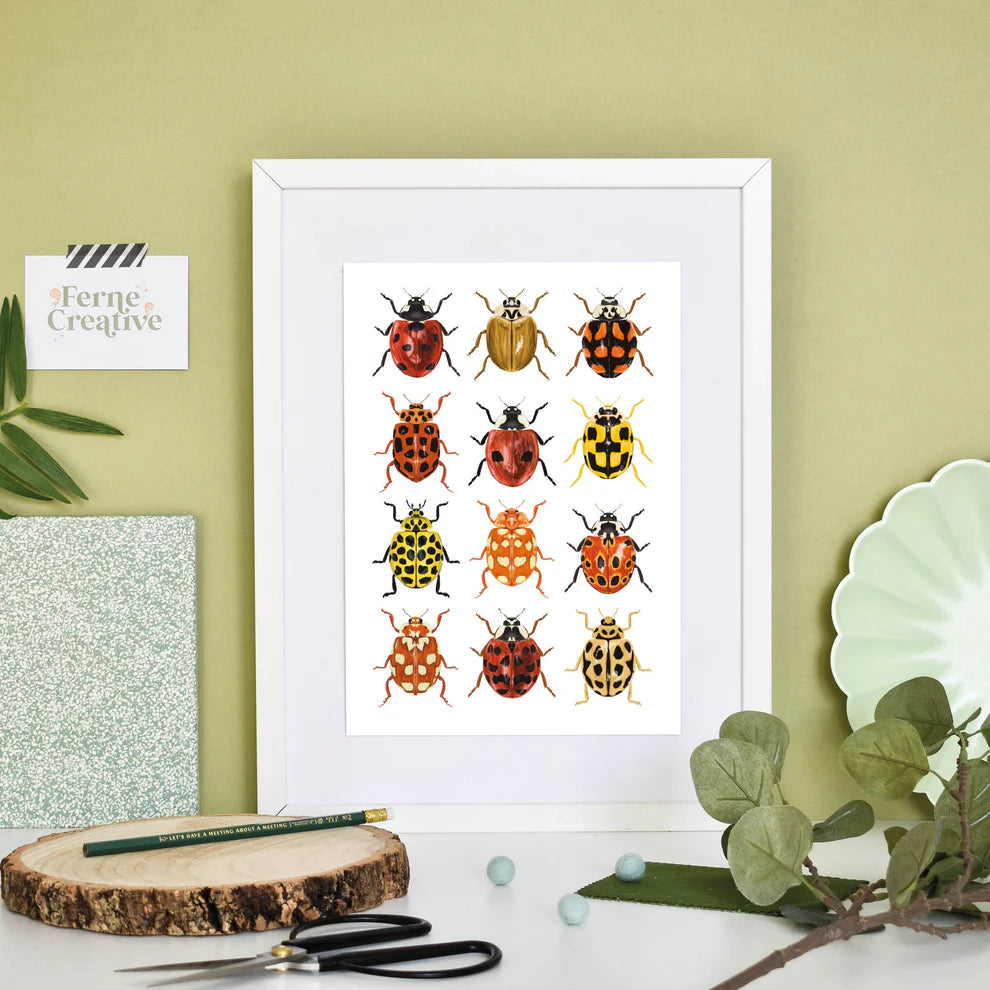 British Ladybird Illustrated A3 Print