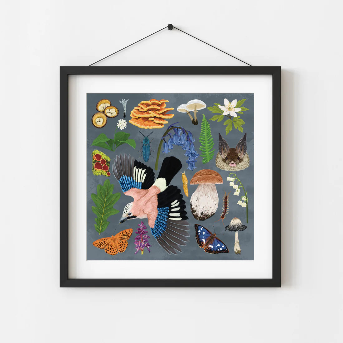 Ancient Woodland Wildlife Illustrated Print