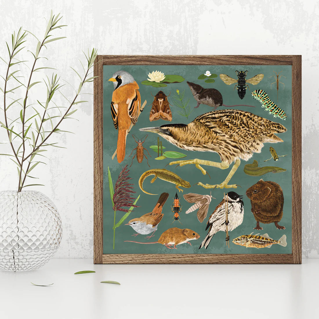 Reedbed Wildlife Print