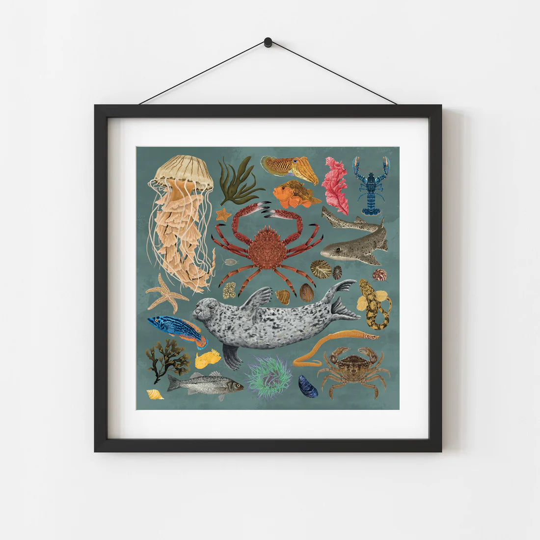 Marine Life Wildlife Print