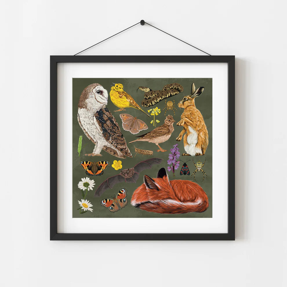 Grassland Wildlife 210x210 Print