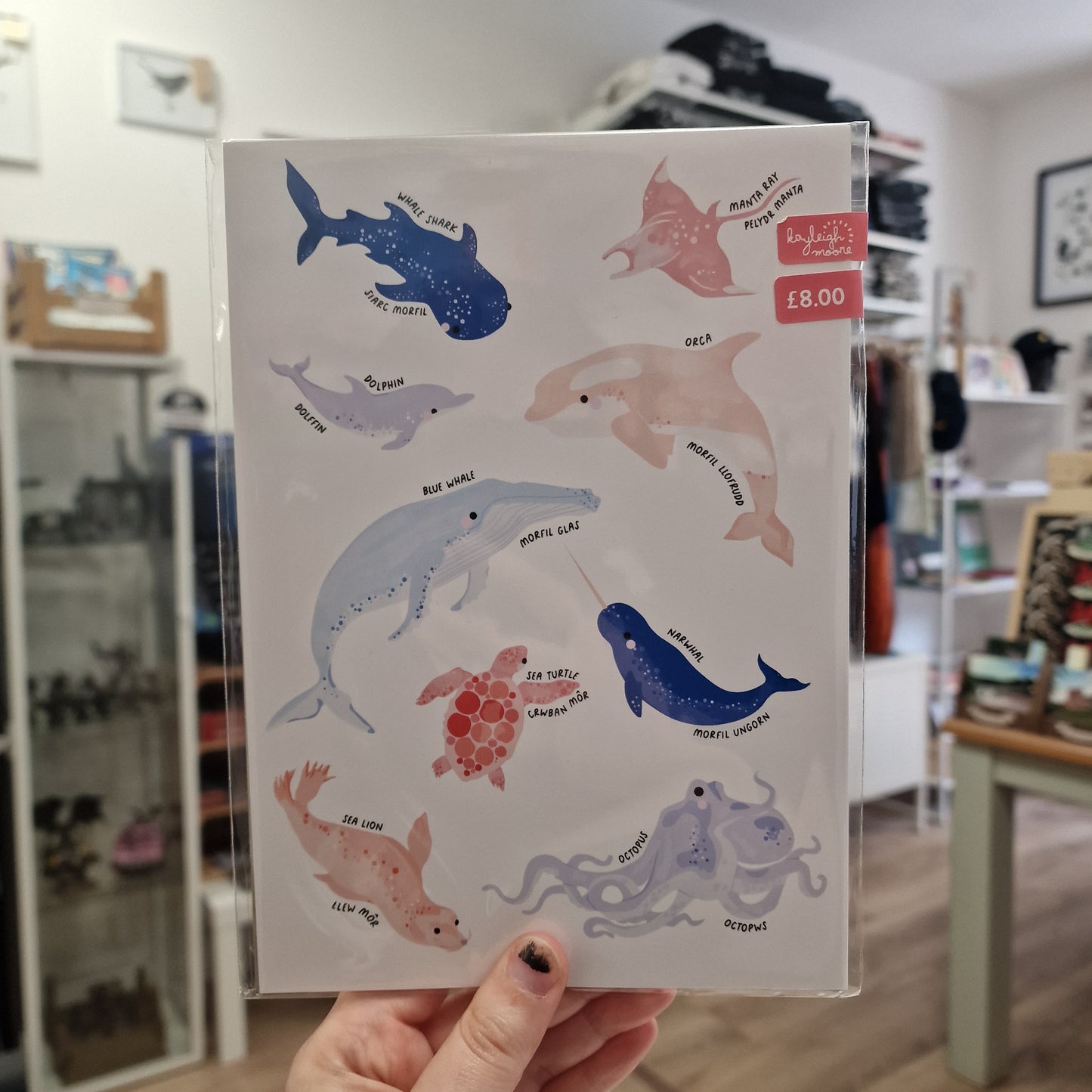 Sea Animals Print