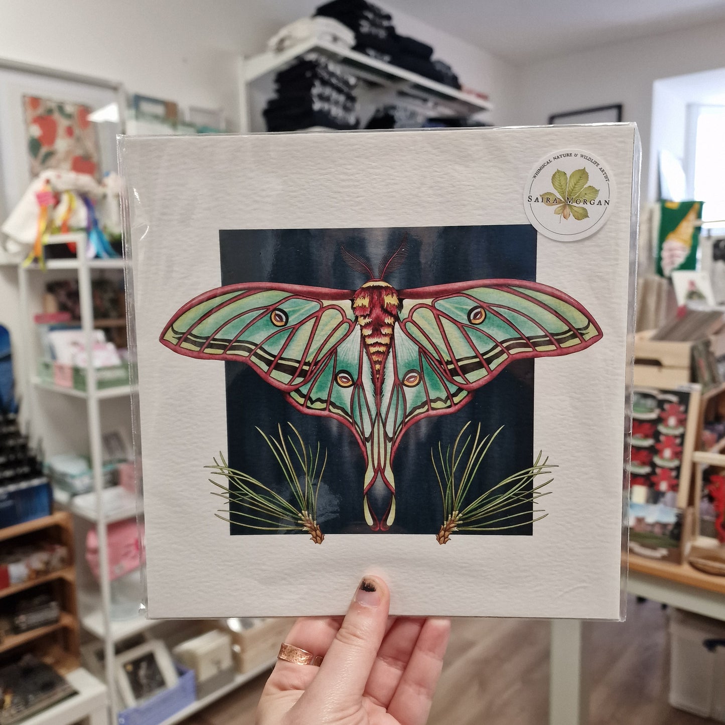 Spanish Moon Moth 210mm x 210mm Print