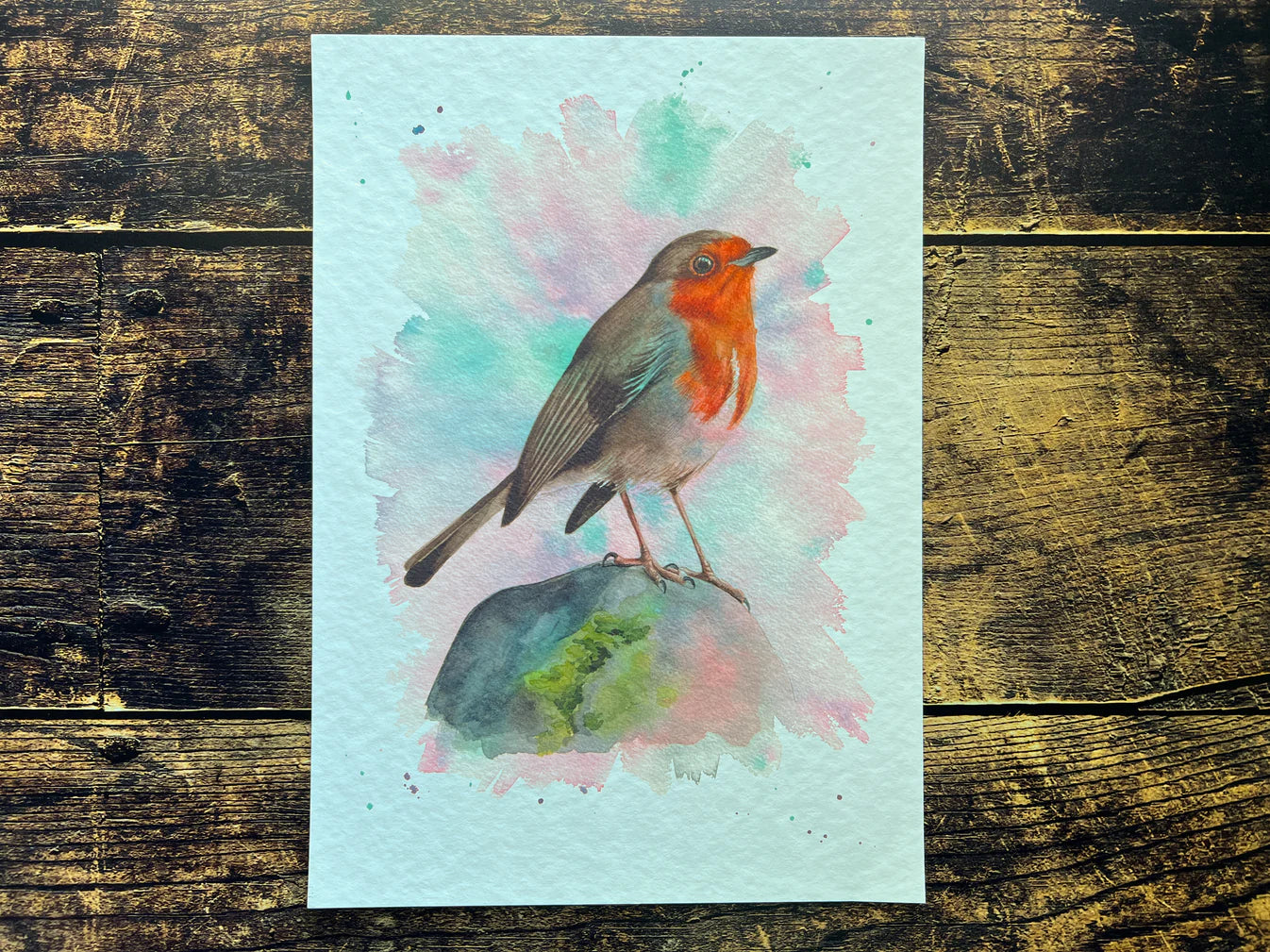 Spring Robin A4 Print