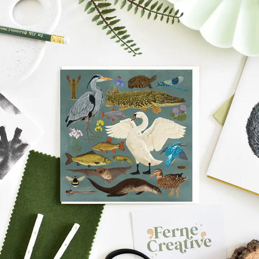 Canal Wildlife Card