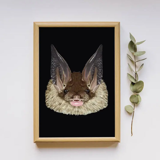 Long-Eared Bat Print