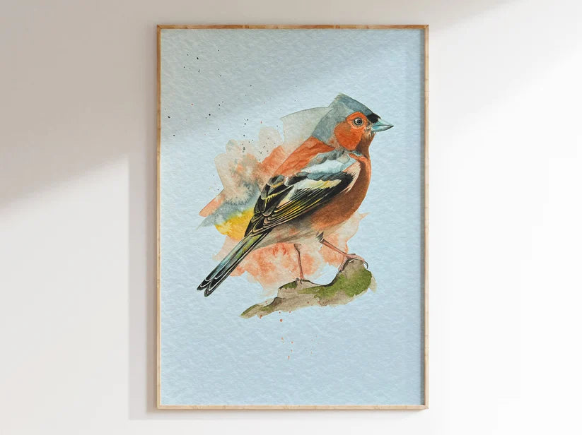 Chaffinch A4 Print