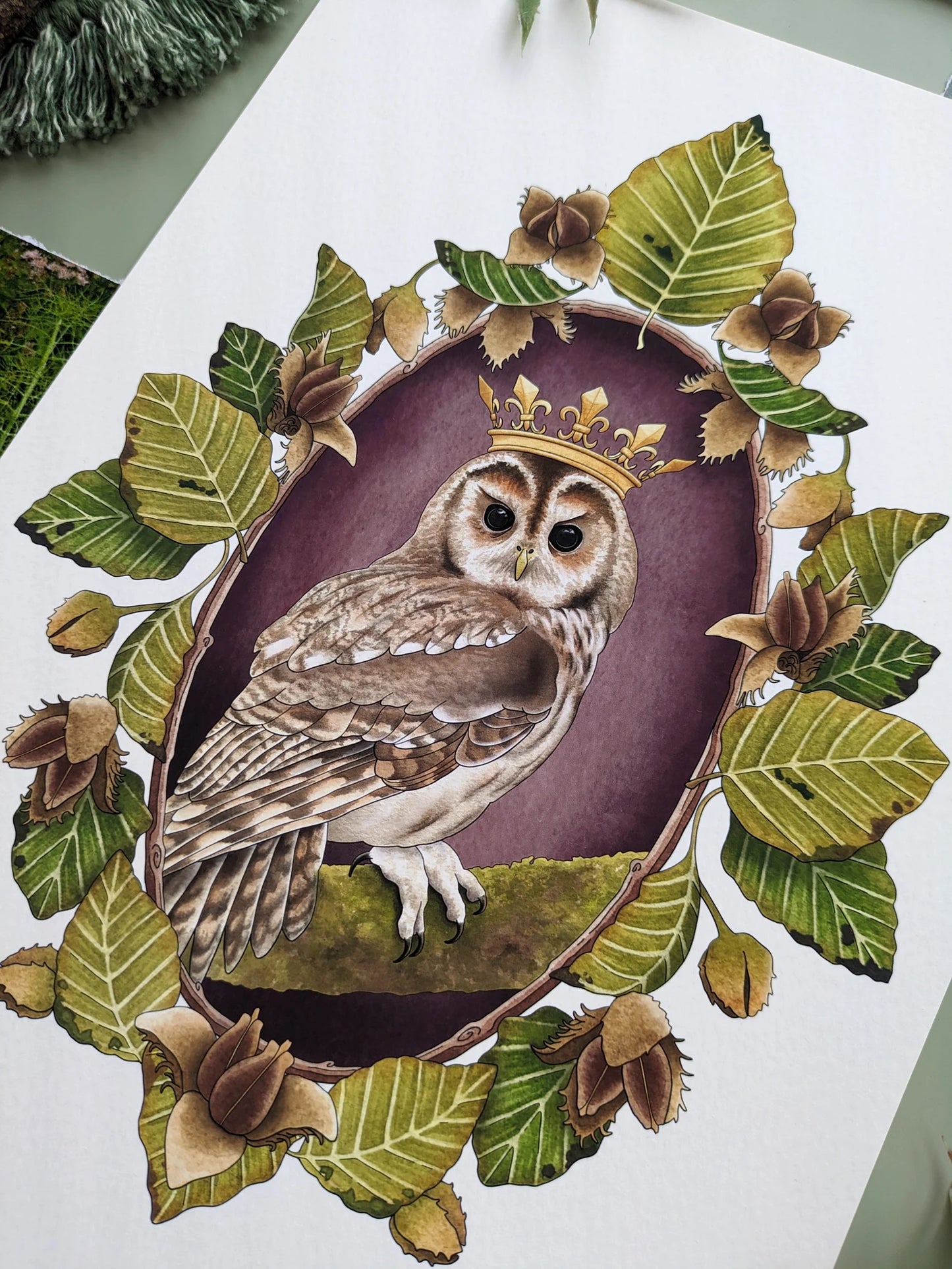 Woodland Owl Portrait A4 Print