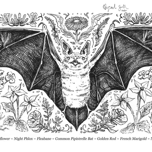 Bat Pollinators Print