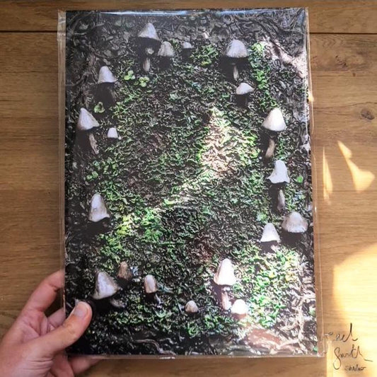 Mushroom Circle A4 Print