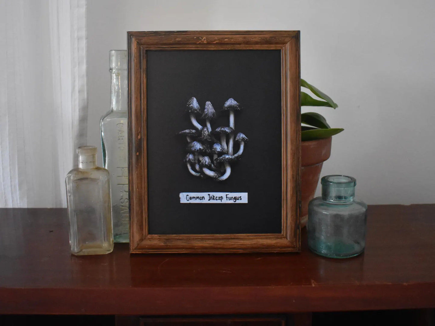 Mushroom (Common Inkcap Fungus) A5 Print