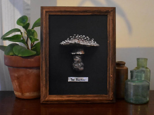 Mushroom (The Blusher) A5 Print