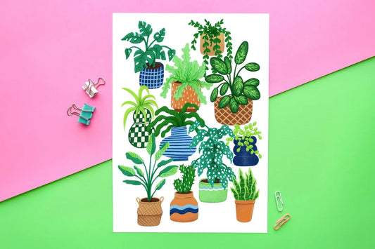 Houseplants A4 Print