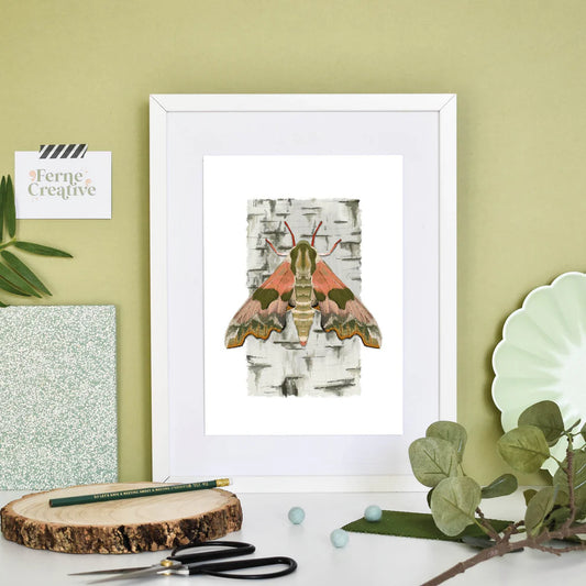 Lime Hawk-Moth Print