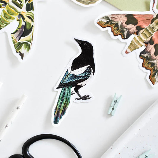 Magpie Tail Down Sticker