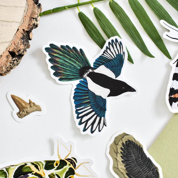 Flying Magpie Vinyl Sticker