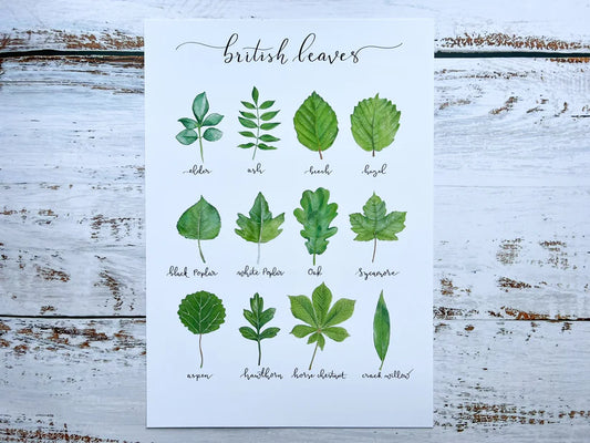 British Leaves A4 Print