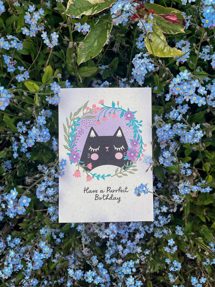 Purrfect Birthday Card