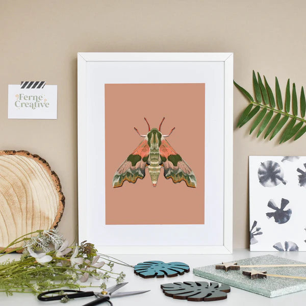 Pink Lime-Hawk Moth Print