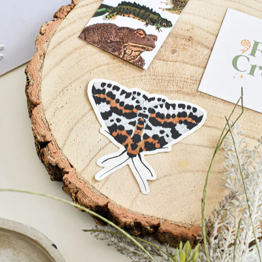 Magpie Moth Vinyl Sticker
