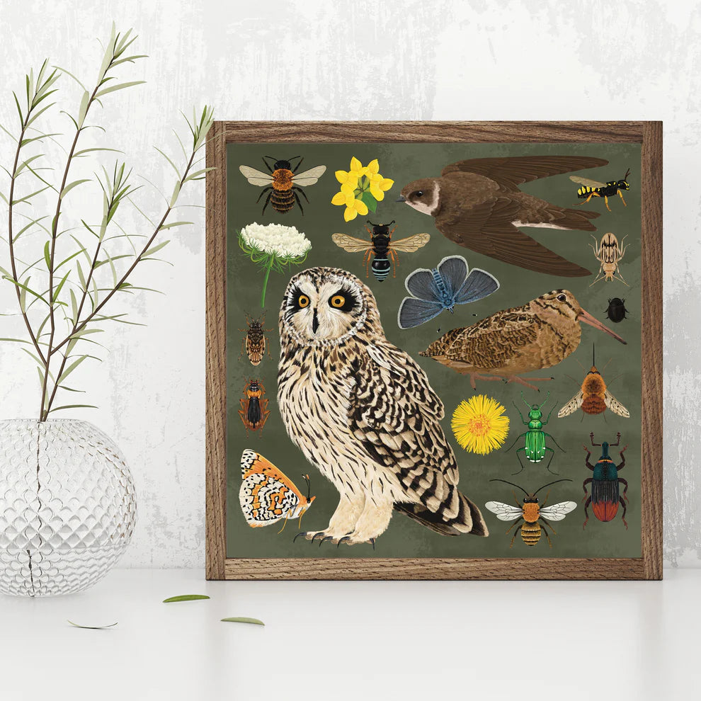 Maritime Soft Cliff Wildlife 406x406 Print