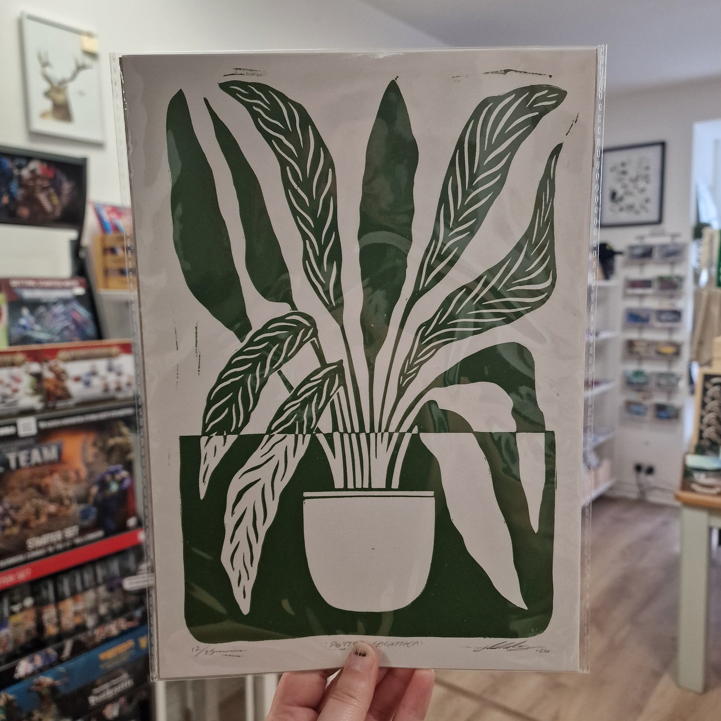 Calathea A4 Print