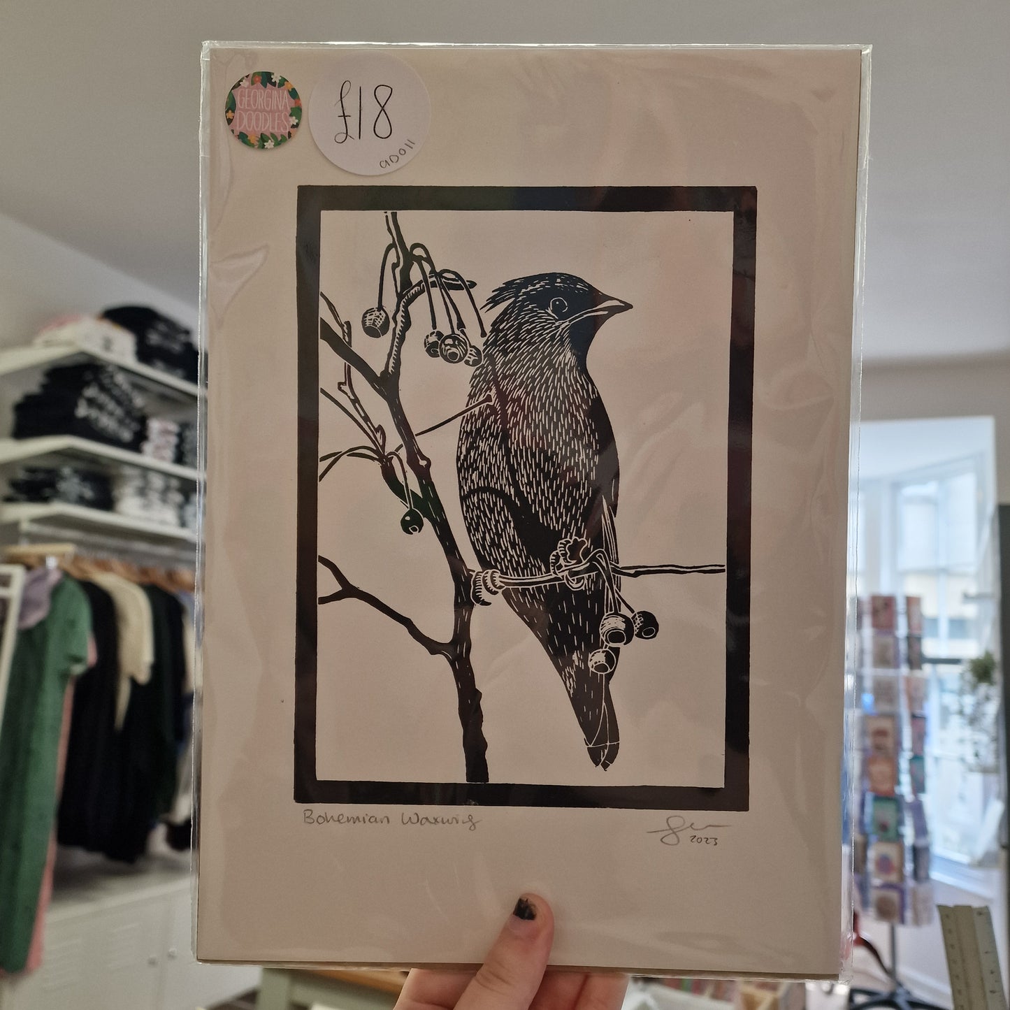 Bohemian Waxwing A4 Print